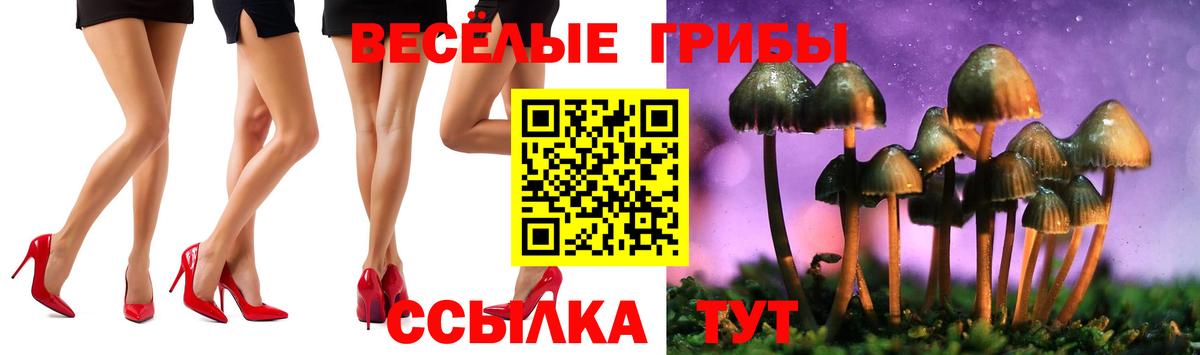 Реж  Галлюциногенные грибы Magic Shrooms  Вход с VPN 